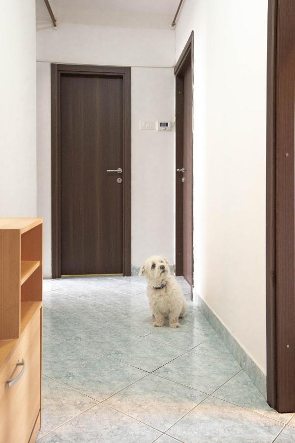 Cosy Apartment Hugo Osijek Bagian luar foto